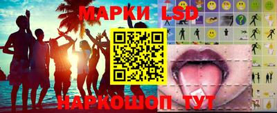 СК Дубна