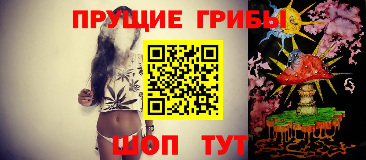 Магадан  Псилоцибиновые грибы MAGIC MUSHROOMS  Вход с VPN 